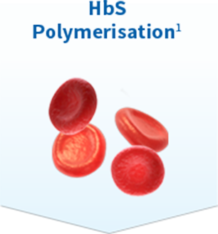 Chronic vascular damage and HbS polymerisation