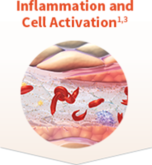 Inflammation and Cell Activation and sickled red blood cells